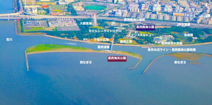 若洲海浜公園と葛西臨海公園