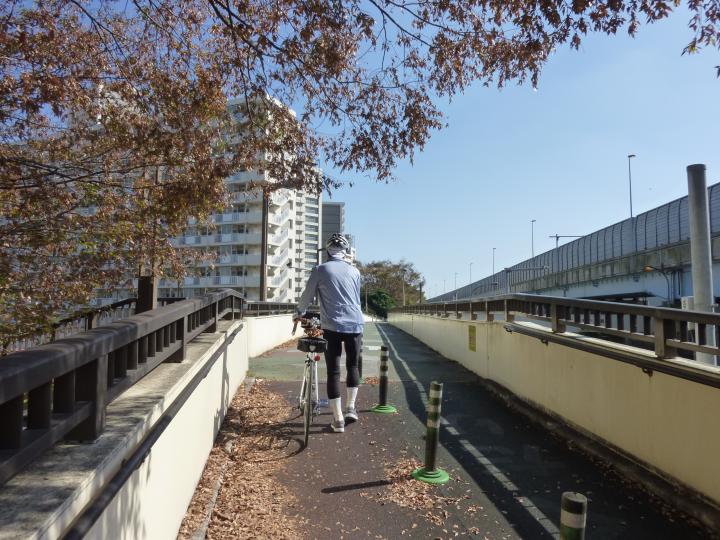 ここ から 葛西 臨海 公園 まで 自転車